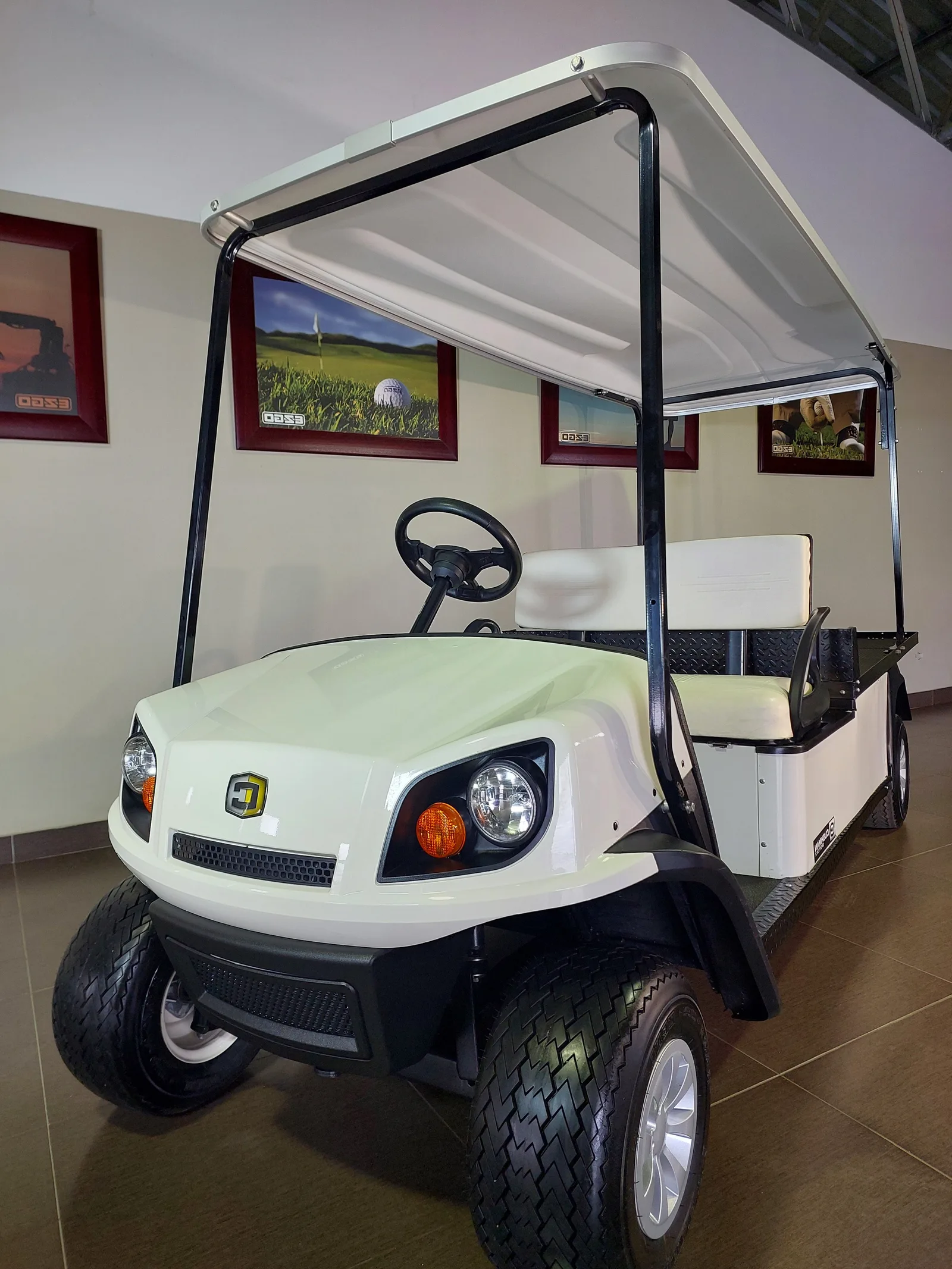 Refurbished Cushman Shuttle 2-Seater 48V DC